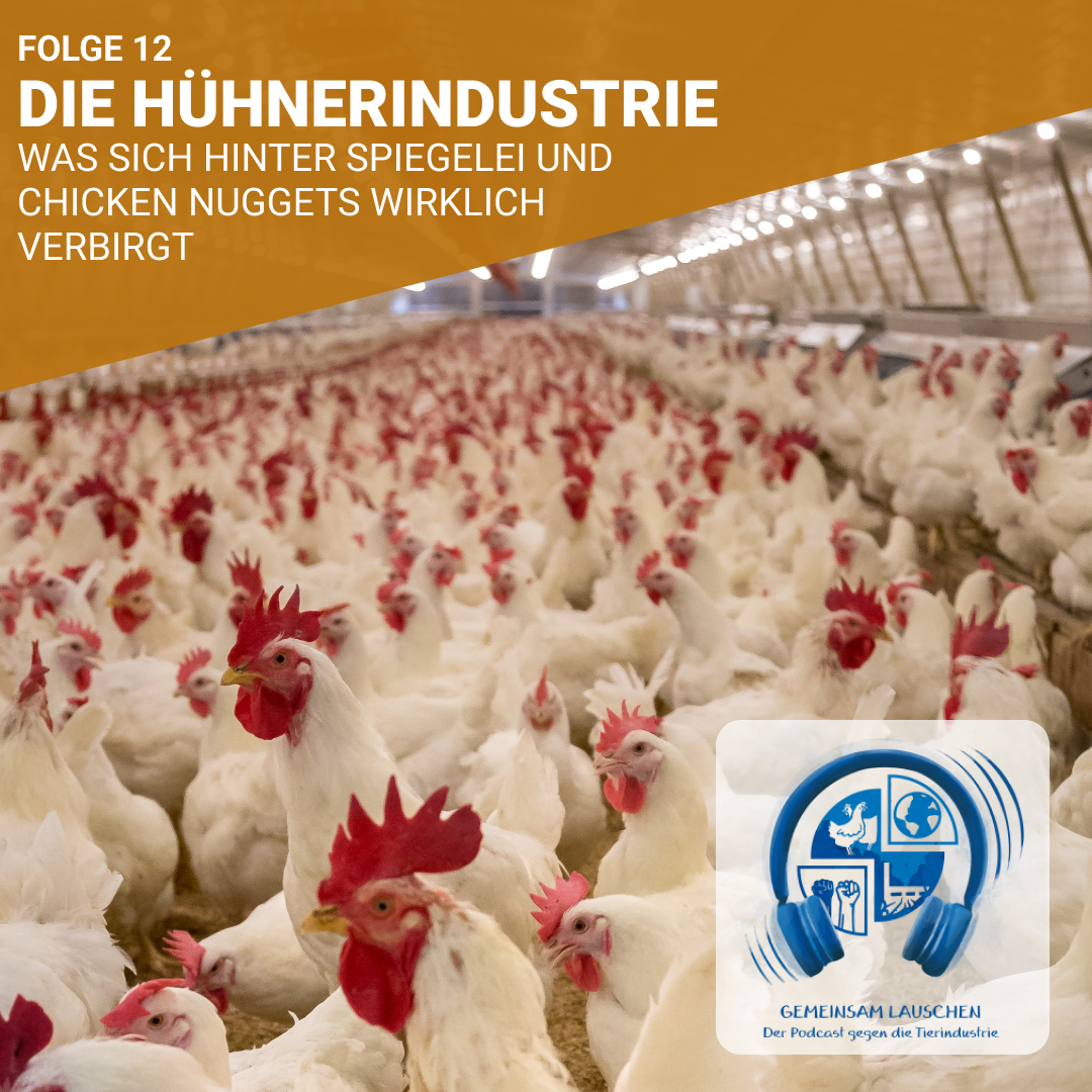 Gemeinsam Lauschen