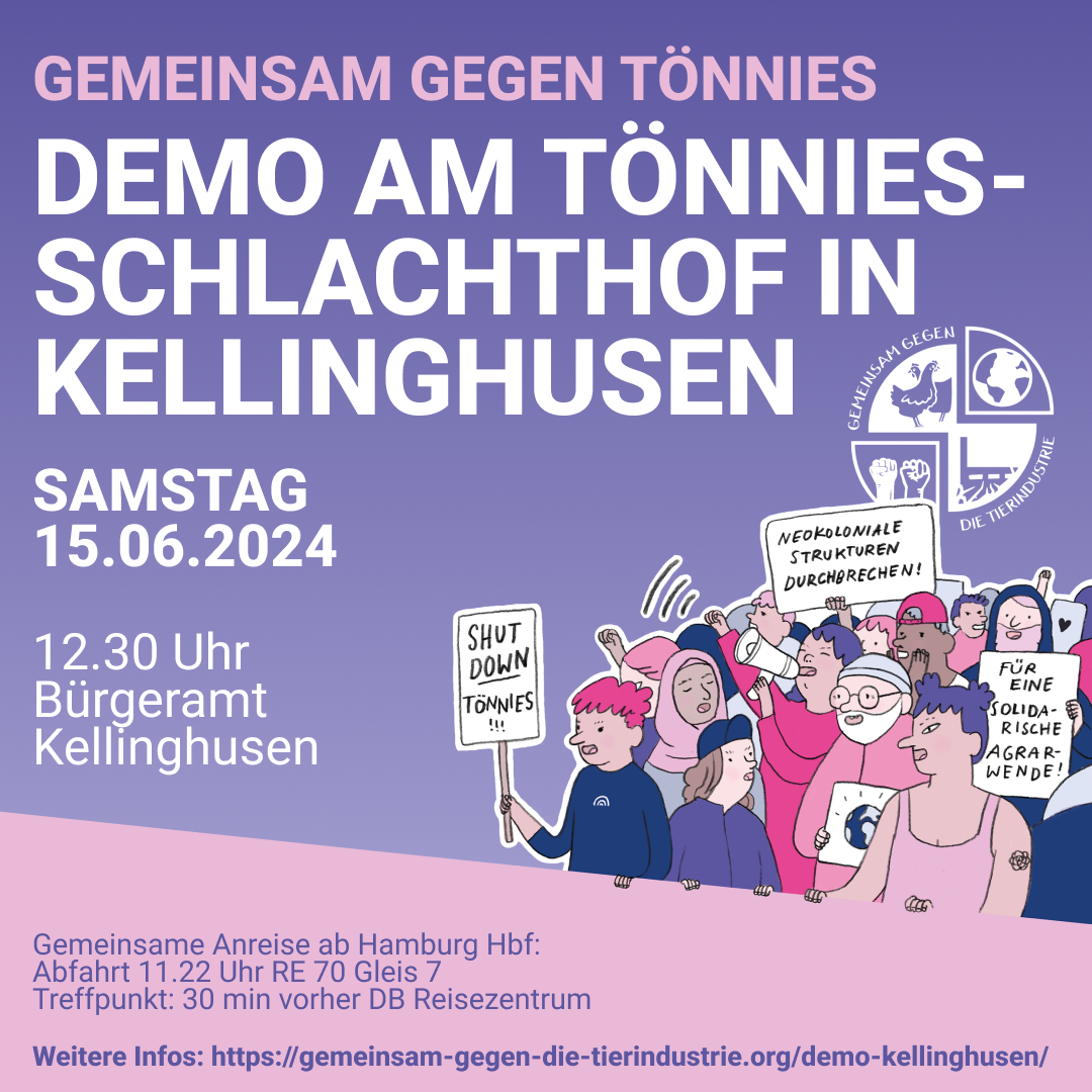 Share Pic zur Demo in Kellinghusen am 15. Juni mit Grafik einer Demonstration und dazu den im Text genannten Daten.