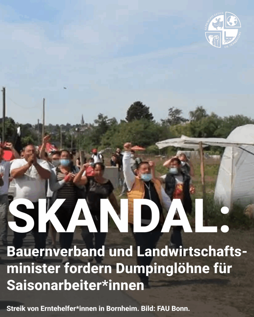 Bild von einem Streik von Erntehelfer*innen in Bornheim.