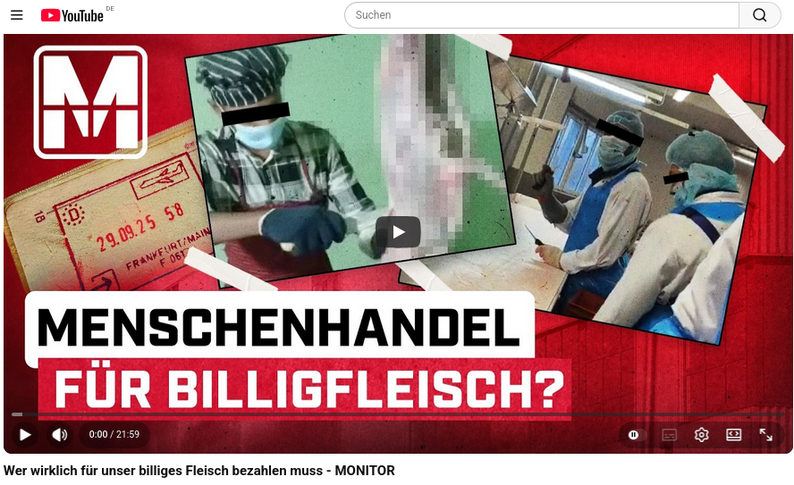 Screenshot vom im Beitrag verlinkten Video des ARD-Journals Monitor