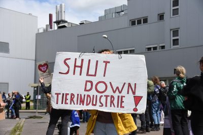 Demo_Kellinghusen_Schlachthof_Schild