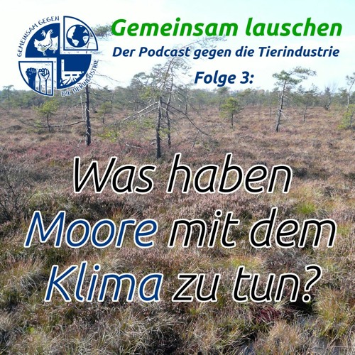 Gemeinsam Lauschen