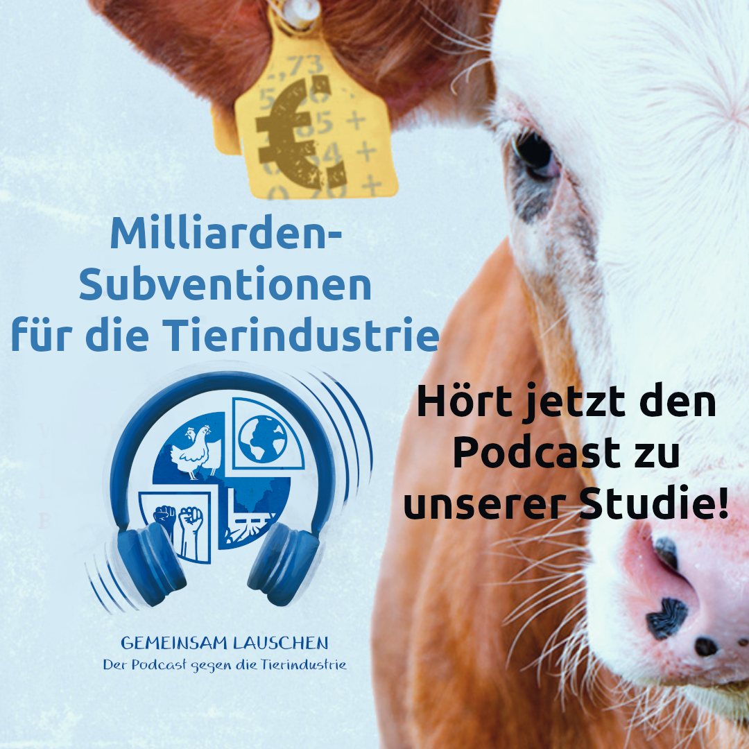 Gemeinsam Lauschen